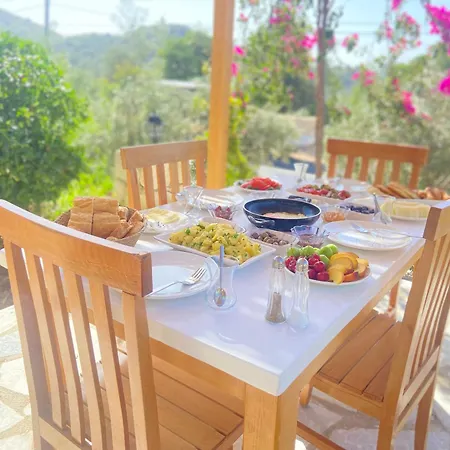 Ξενοδοχείο με διαμερίσματα Anatolia Tas Ev Kapakli *