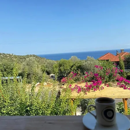 아파트호텔 Anatolia Tas Ev Kapakli 뎀레